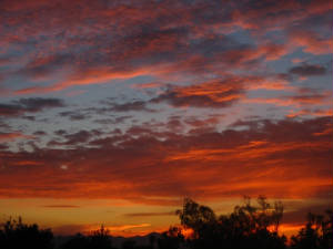 westernsunset.jpg